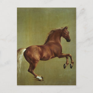 Carte Postale George Stubbs   Whistlejacket, 1762