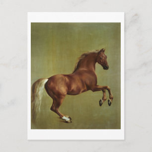 Carte Postale George Stubbs   Whistlejacket, 1762