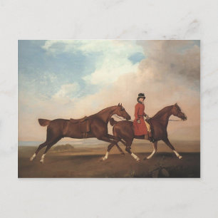 Carte Postale George Stubbs-William Anderson, deux chevaux de se