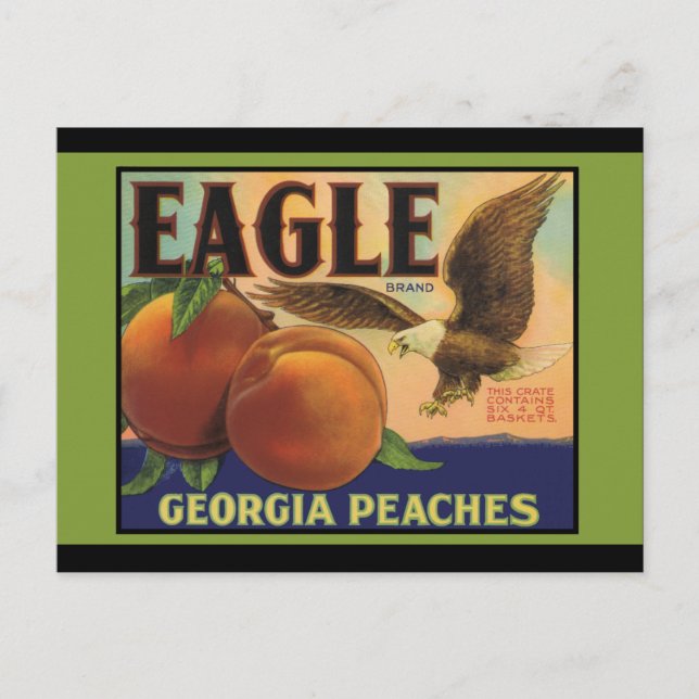Carte Postale Georgia Eagle Peaches (Devant)