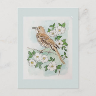 Carte Postale Georgia state bird and flower