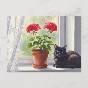 Carte postale Géranium rouge et chat noir