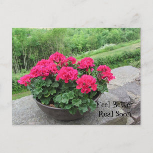 Carte Postale Géranium - Sentez-vous mieux bientôt