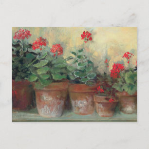 Carte Postale Geraniums dans les pots