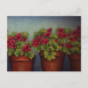Carte Postale Geraniums rouges en pots d'argile