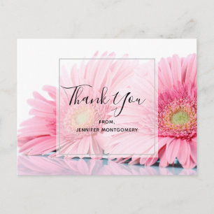 Carte Postale Gerbéra daisies roses Élégant Photo Merci