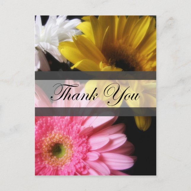 Carte Postale Gerbera Daisy 8 Merci (Devant)