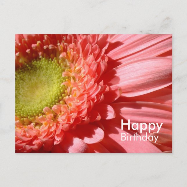 Carte Postale Gerbera rose - Joyeux anniversaire (Devant)