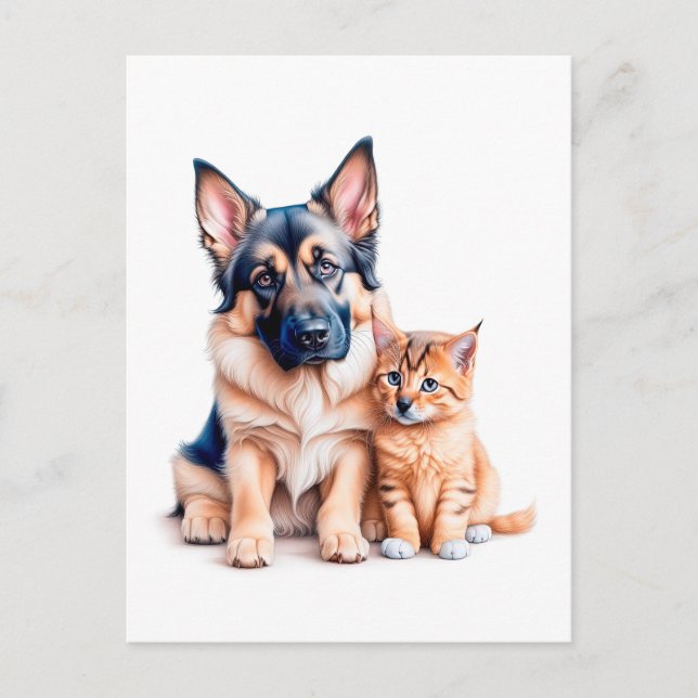 Carte Postale German Shepherd Puppy And Maincoon Kitten (Devant)