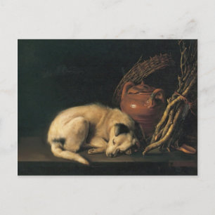Carte Postale Gerrit Dou - Un chien qui dort avec un pot en terr