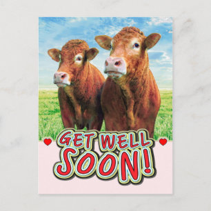 CARTE POSTALE GET WELL