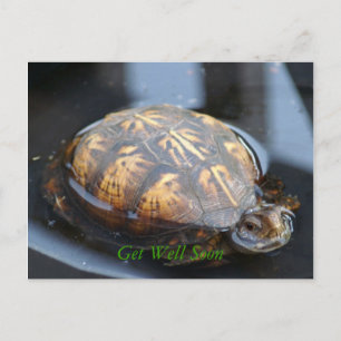 Carte Postale Get well soon turtle Postcard