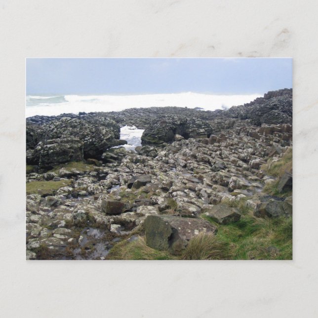 Carte Postale Giants Causeway Irlande du Nord (Devant)