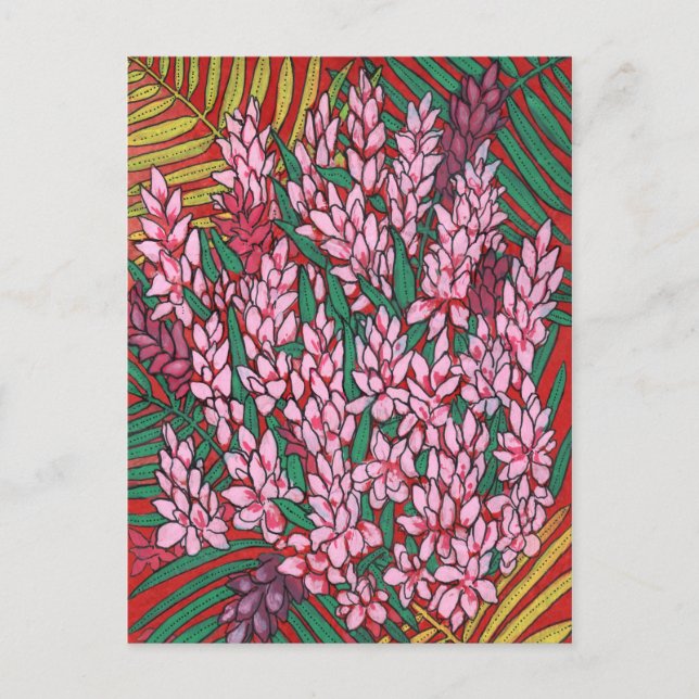 Carte Postale Gingembre de cône rose Alpinia Fleurs tropicales F (Devant)