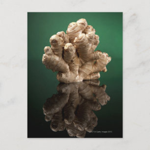 Carte Postale Ginger