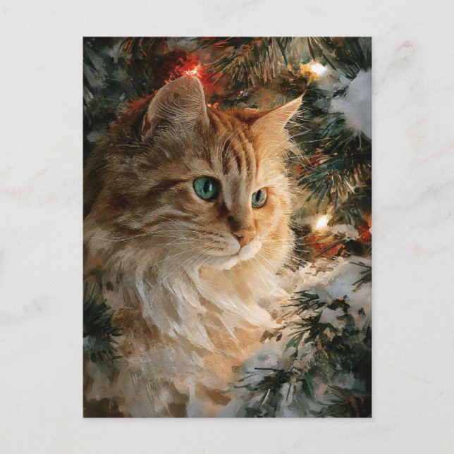 Carte Postale Ginger Maine Coon Christmas (Devant)
