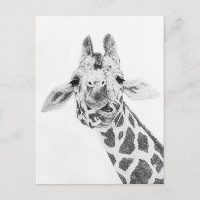 Carte Postale Girafe (Devant)