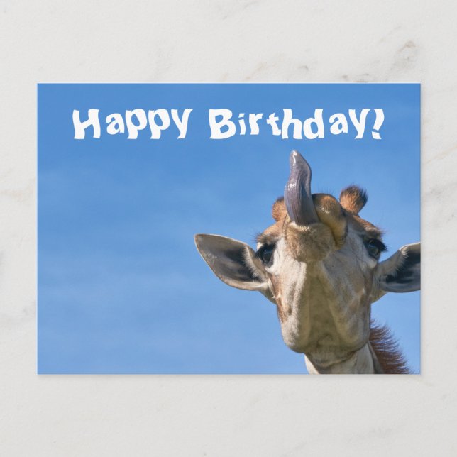 Carte Postale Girafe Drôle Joyeux Anniversaire (Devant)