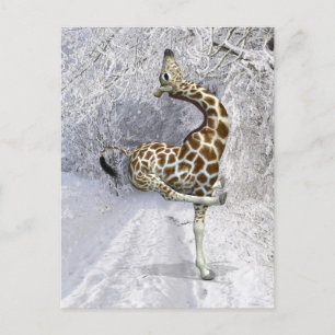 Carte Postale Girafe Folle Jouant Dans La Neige