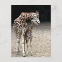 Girafe with child