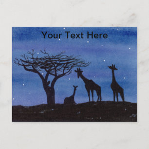 Carte Postale Girafes