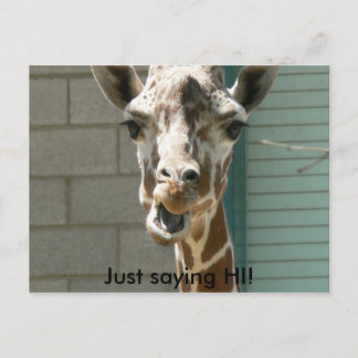 Carte postale Giraffe