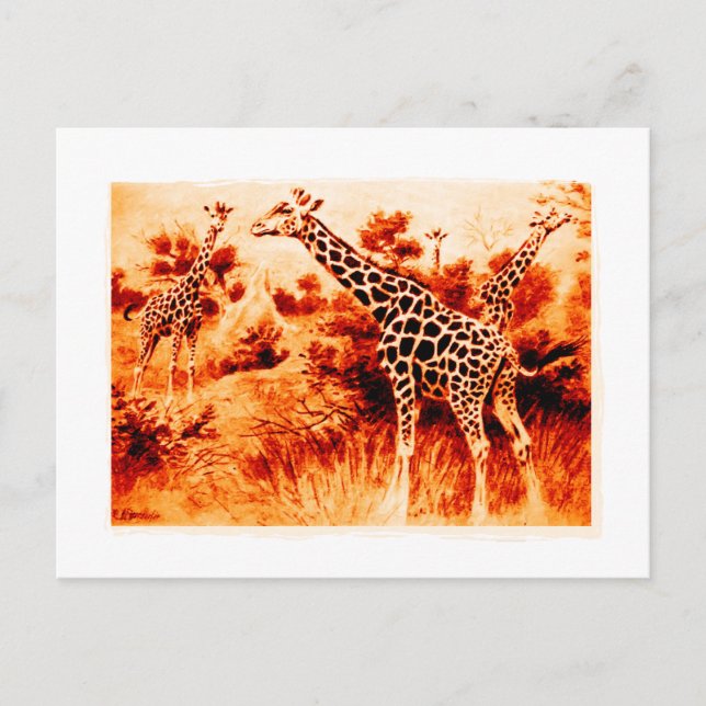 Carte Postale Giraffe (Devant)