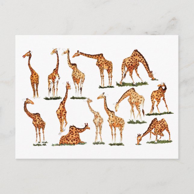 CARTE POSTALE "GIRAFFE" (Devant)