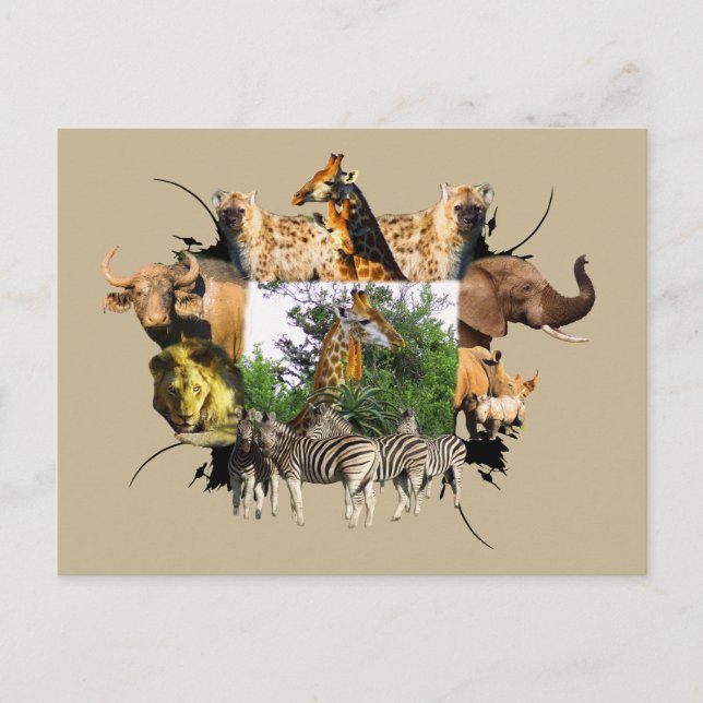 Carte Postale Giraffe Aloe, cadre faunique africain (Devant)