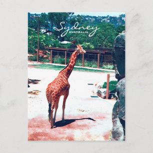 Carte Postale Giraffe animal Sydney Australie