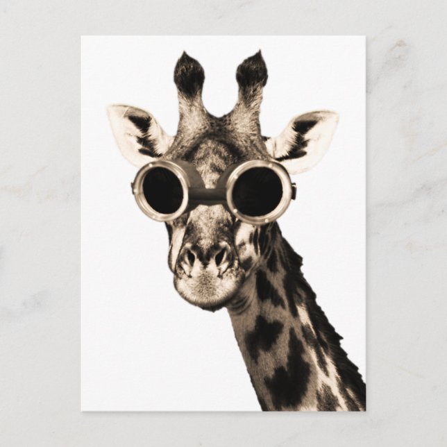Carte Postale Giraffe Avec Lunettes De Soleil Steampunk Lunettes (Devant)