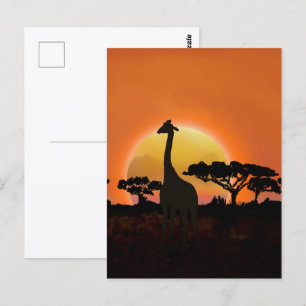 Carte Postale Giraffe couché de soleil du Serengeti   Safari Wil