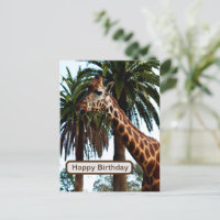 Giraffe Drôle Qui Donne Une Framboise,