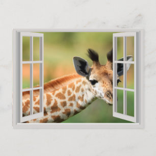 Carte Postale Giraffe en Serengeti