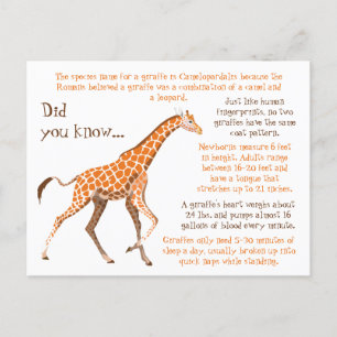Carte Postale Giraffe Faits amusants Faune