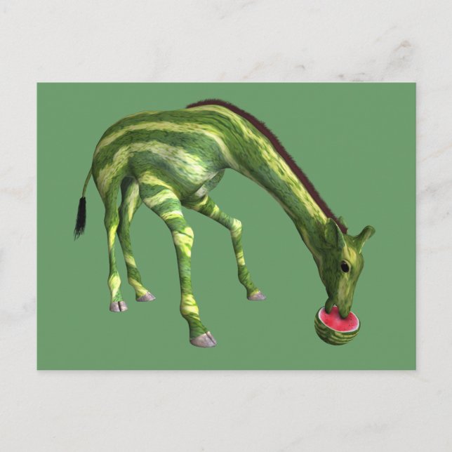 Carte Postale Giraffe Manger de la pastèque (Devant)
