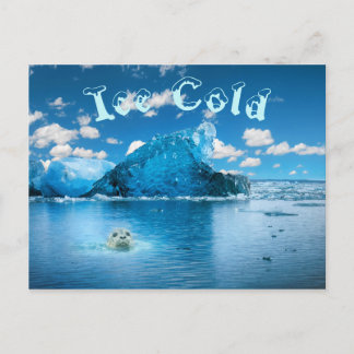 Carte Postale Glace Cold Fun