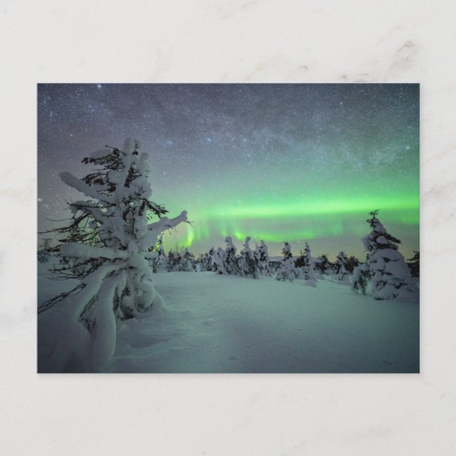 Carte Postale Glace et neige | Parc national de Pallas-Yllastunt (Devant)