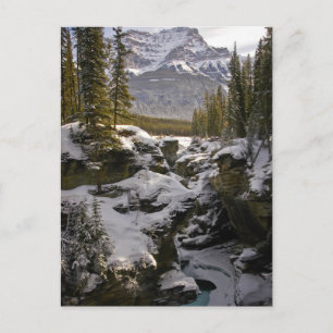 Carte Postale Glace et neige   Parc national Jasper Alberta, Can