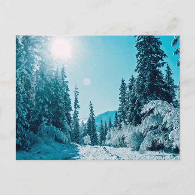 Carte Postale Glace et neige | Réserve naturelle de l'Altaï, Rus (Devant)