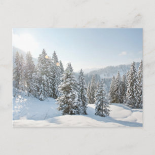 Carte Postale Glace & Neige   Allgäu Bavière Allemagne du Sud