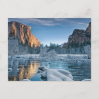 Glace & Neige | Givre dans la vallée de Yosemite