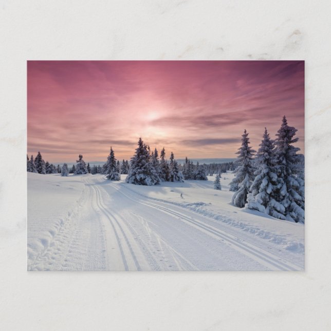 Carte Postale Glace & Neige | Lillehammer, Norvège (Devant)