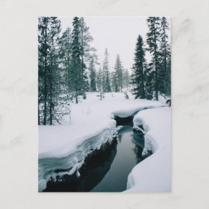 Carte Postale Glace & Neige Ruisseau dans un paysage hivernal