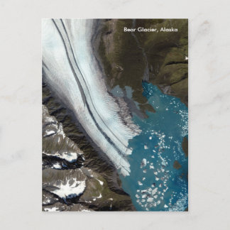 Carte Postale Glacier de l'ours en Alaska