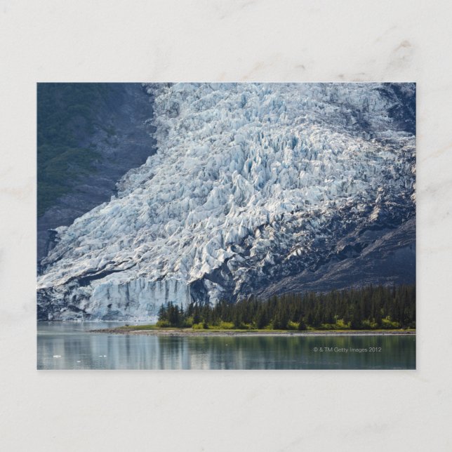 Carte Postale Glacier de Wellesley dans le fjord d'université (Devant)