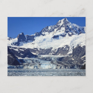 Carte Postale Glacier Johns Hopkins dans Glacier Bay NP