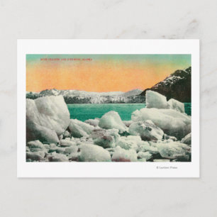 Carte Postale Glacier Muir et Icebergs en Alaska #1State
