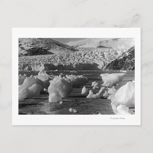Carte Postale Glacier Taku près de Juneau, Alaska Photographie (Devant)