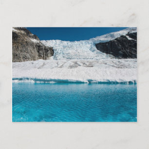 Carte Postale Glacière Juneau Icefield et lac super glaciaire